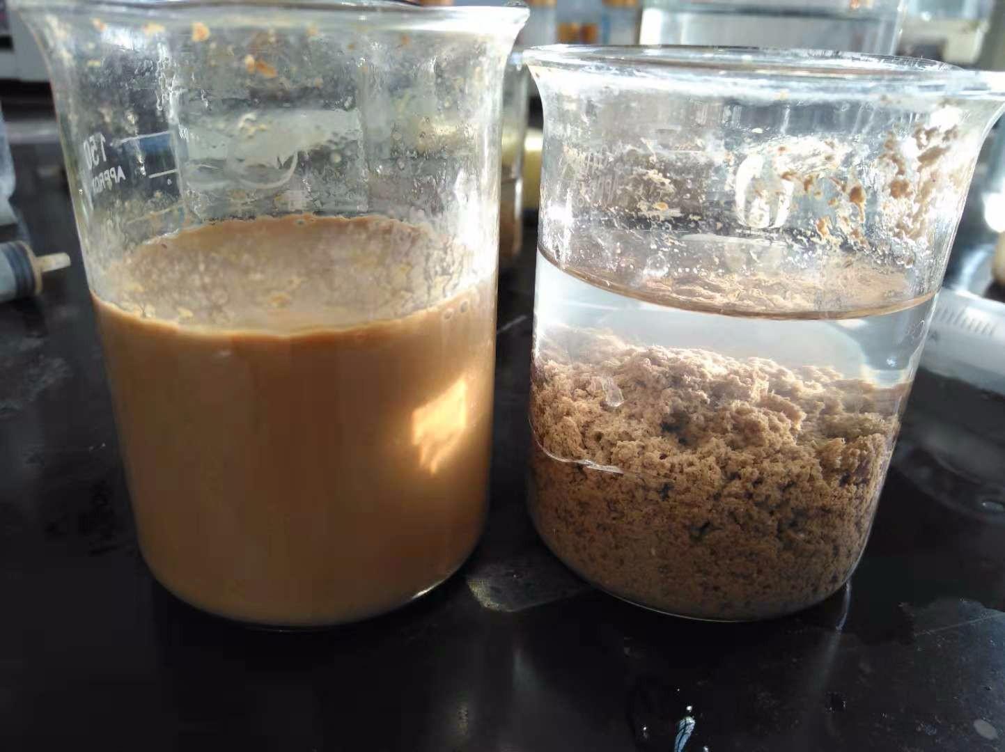 <a href='http://m.xinhaocd.cn/jsyj/992.html' target='_blank'><u>非離子聚丙烯酰胺生產(chǎn)廠家</u></a>