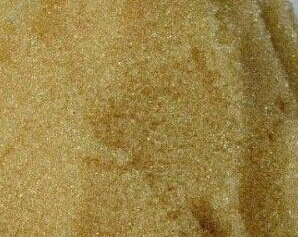 <a href='http://m.xinhaocd.cn/jsll/2.html' target='_blank'><u>樹脂濾料生產(chǎn)廠家</u></a>